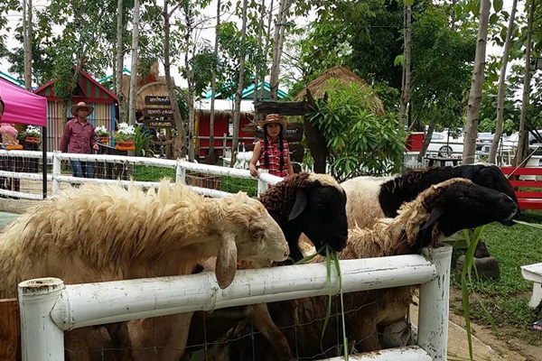 ตลาดน้ำพระยาสุเรนทร์
