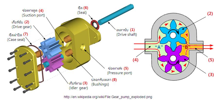 ปั๊มเกียร์ขบภายนอก