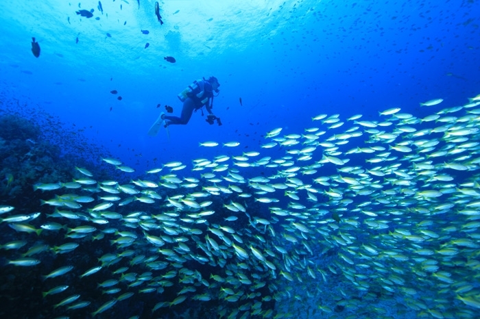 หมู่เกาะสิมิลัน