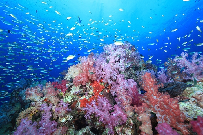 ที่เที่ยวพังงา เมืองสวยในหุบเขา