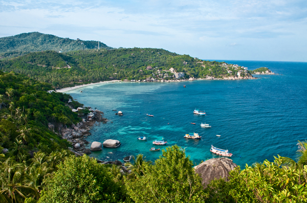 เกาะเต่า