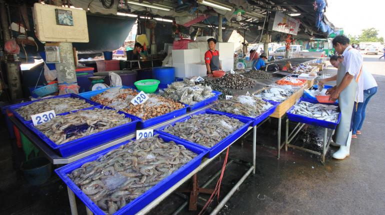 เรือหยุดหาปลา