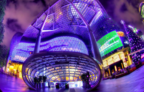 ออชาร์ด (Orchard)