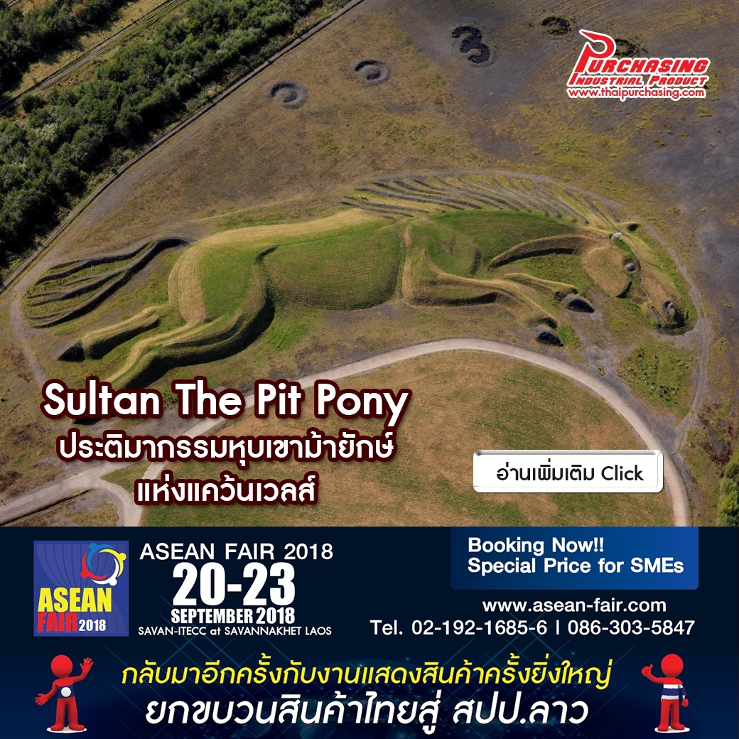 Sultan The Pit Pony ประติมากรรมหุบเขาม้ายักษ์ แห่งแคว้นเวลส์