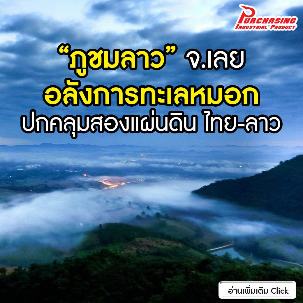 “ภูชมลาว” จ.เลย อลังการทะเลหมอก ปกคลุมสองแผ่นดิน ไทย-ลาว