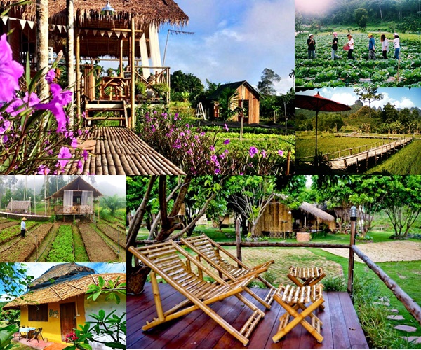 ชวนไปนอน 9 ที่พักสไตล์ออแกนิกส์ฟาร์มสุดชิล