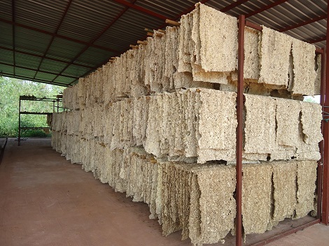 ยางเครป (Crepe Rubber) คืออะไร นำมาแปรรูปอย่างไร