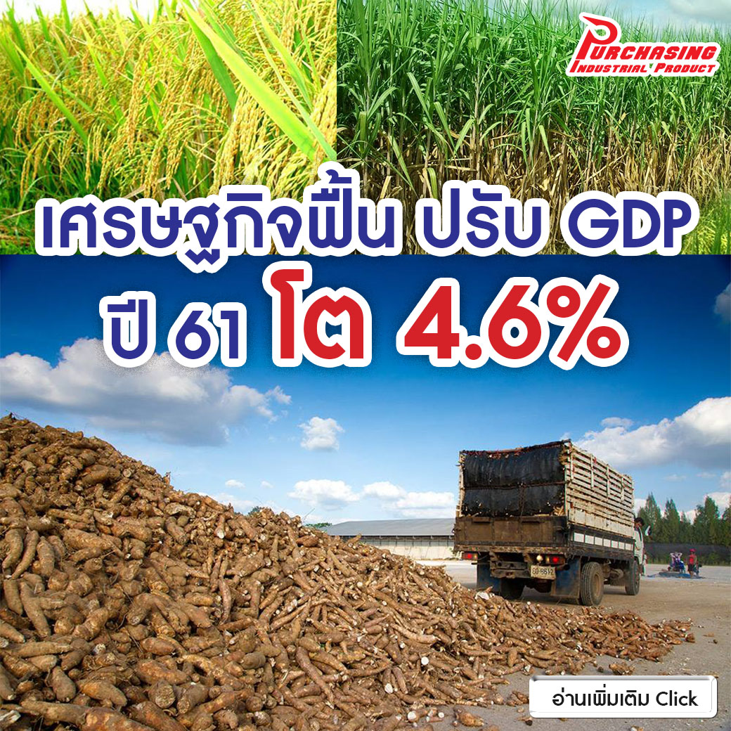 เศรษฐกิจฟื้น ปรับ GDP ปี 61 โต 4.6%