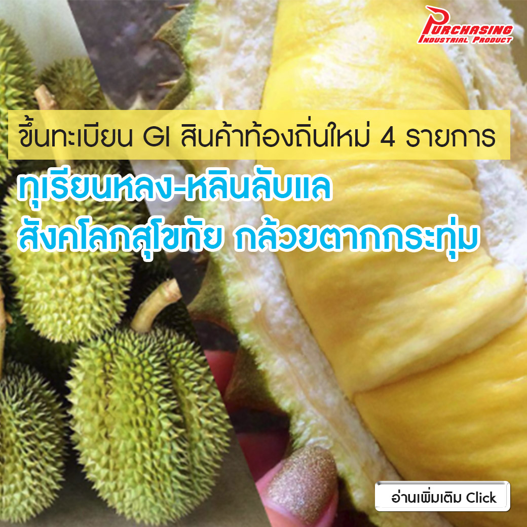 ขึ้นทะเบียนGI สินค้าท้องถิ่นใหม่ 4 รายการ ทุเรียนหลง-หลินลับแล สังคโลกสุโขทัย กล้วยตากกระทุ่ม