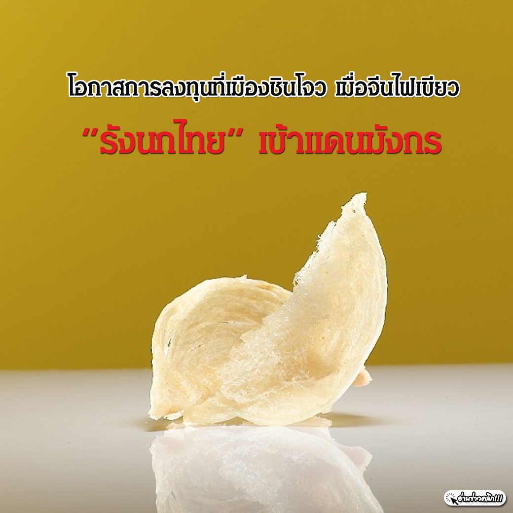 โอกาสการลงทุนที่เมืองชินโจว เมื่อจีนไฟเขียว รังนกไทย เข้าแดนมังกร