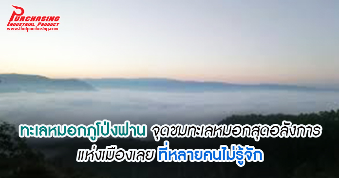 ทะเลหมอกภูโป่งฟาน จุดชมทะเลหมอกสุดอลังการแห่งเมืองเลย ที่หลายคนไม่รู้จัก