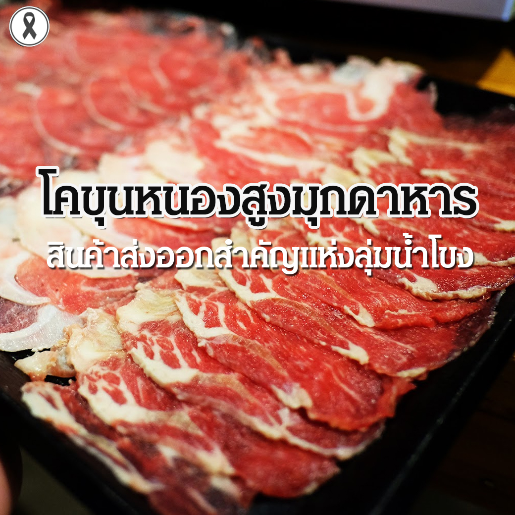 โคขุนหนองสูงมุกดาหาร สินค้าส่งออกสำคัญแห่งลุ่มน้ำโขง-แขวงสะหวันนะเขต สปป.ลาว