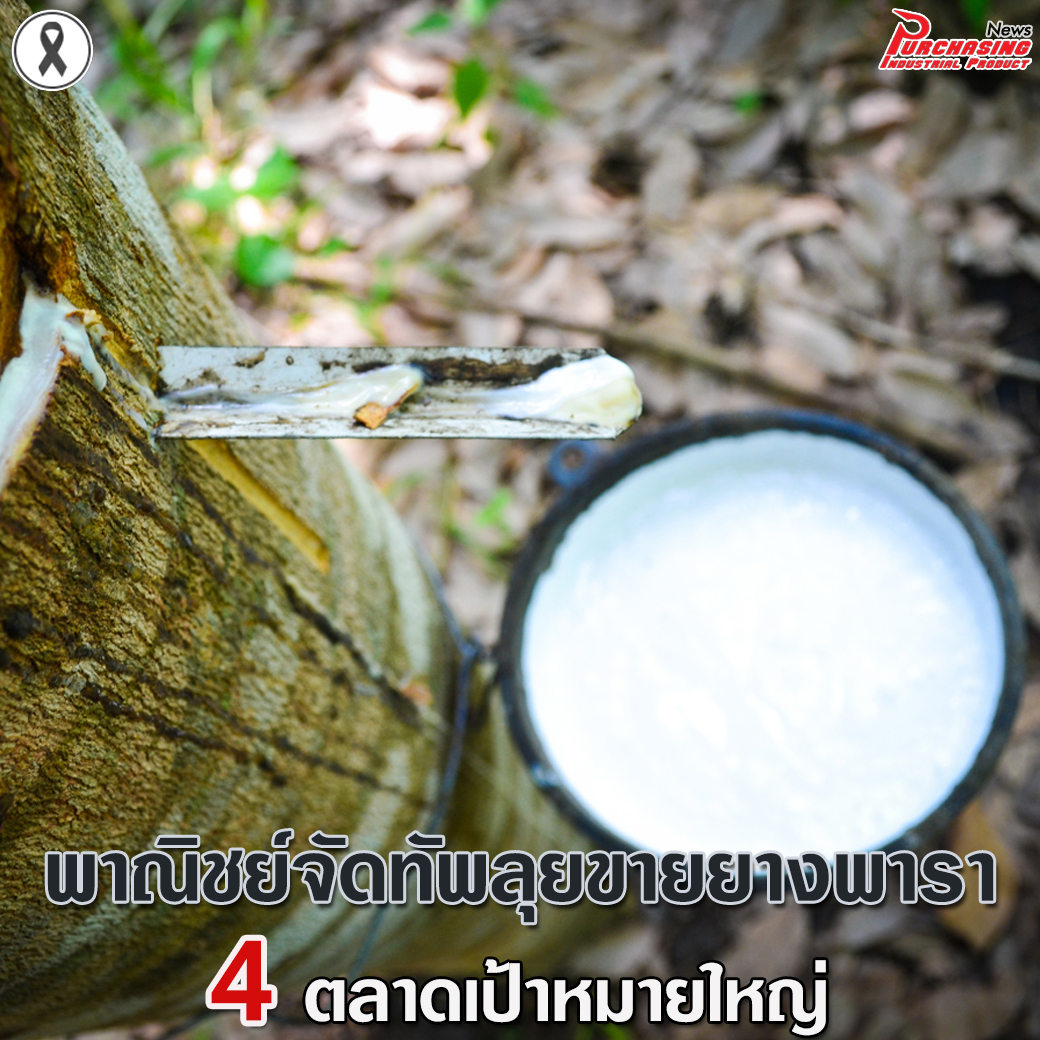 พาณิชย์จัดทัพลุยขายยางพารา 4 ตลาดเป้าหมายใหญ่