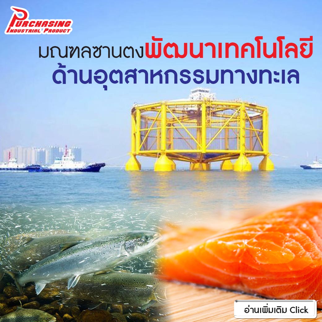 มณฑลซานตงพัฒนาเทคโนโลยีด้านอุตสาหกรรมทางทะเล