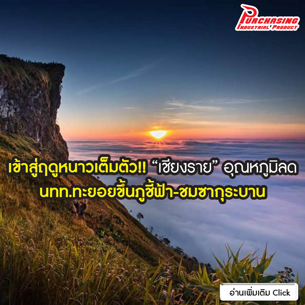 เข้าสู่ฤดูหนาวเต็มตัว!! “เชียงราย” อุณหภูมิลด นทท.ทะยอยขึ้นภูชี้ฟ้า-ชมซากุระบาน