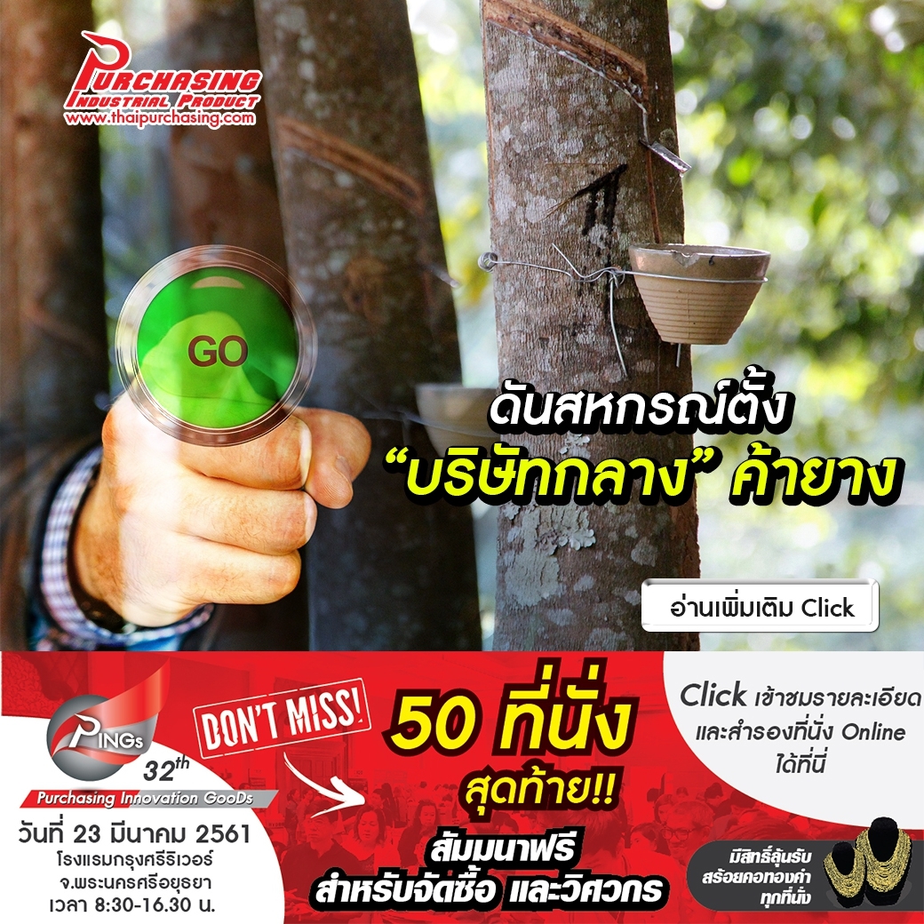 ดันสหกรณ์ตั้ง “บริษัทกลาง” ค้ายาง