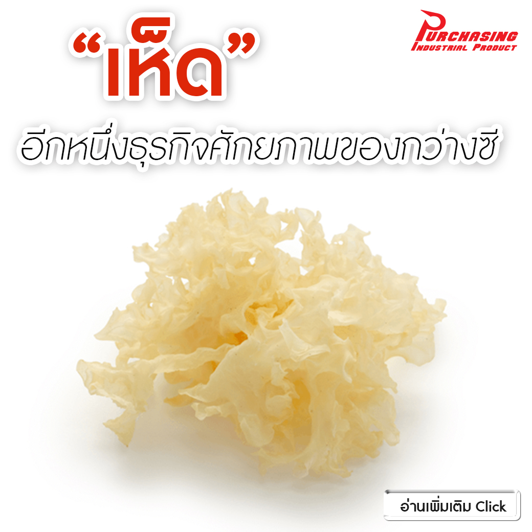 “เห็ด” อีกหนึ่งธุรกิจศักยภาพของกว่างซี