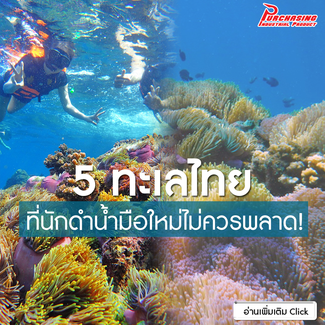 มาดำน้ำคลายร้อน กับ 5 ทะเลเมืองไทย ที่นักดำน้ำมือใหม่ไม่ควรพลาด!