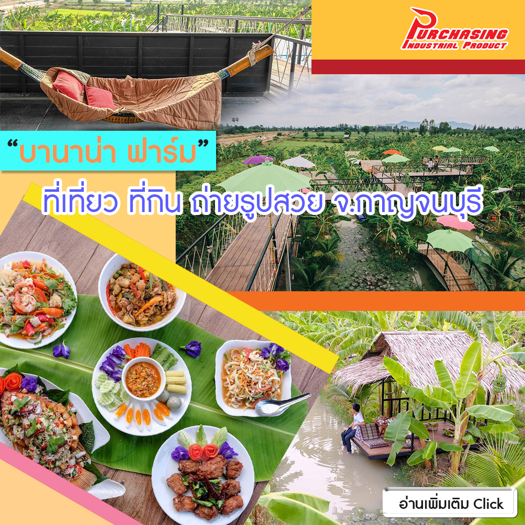 ‘บานาน่า ฟาร์ม’ ที่เที่ยว ที่กิน  ถ่ายรูปสวย จ.กาญจนบุรี