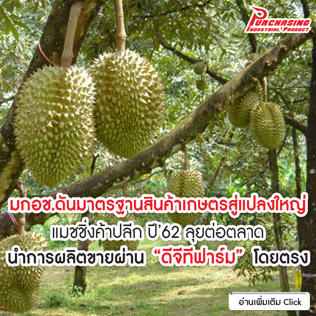 มกอช.ดันมาตรฐานสินค้าเกษตรสู่แปลงใหญ่ แมชชิ่งค้าปลีก ปี’62 ลุยต่อตลาดนำการผลิตขายผ่าน”ดีจีทีฟาร์ม” โดยตรง