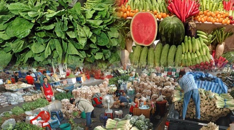 คมนาคมไอเดียเจ๋ง จับมือเกษตร ป้อนพืชผักให้บินไทยเสิร์ฟบนเครื่อง