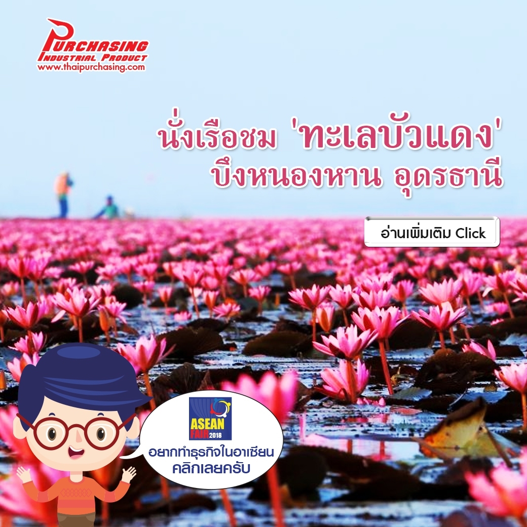 นั่งเรือชม 'ทะเลบัวแดง' บึงหนองหาน อุดรธานี