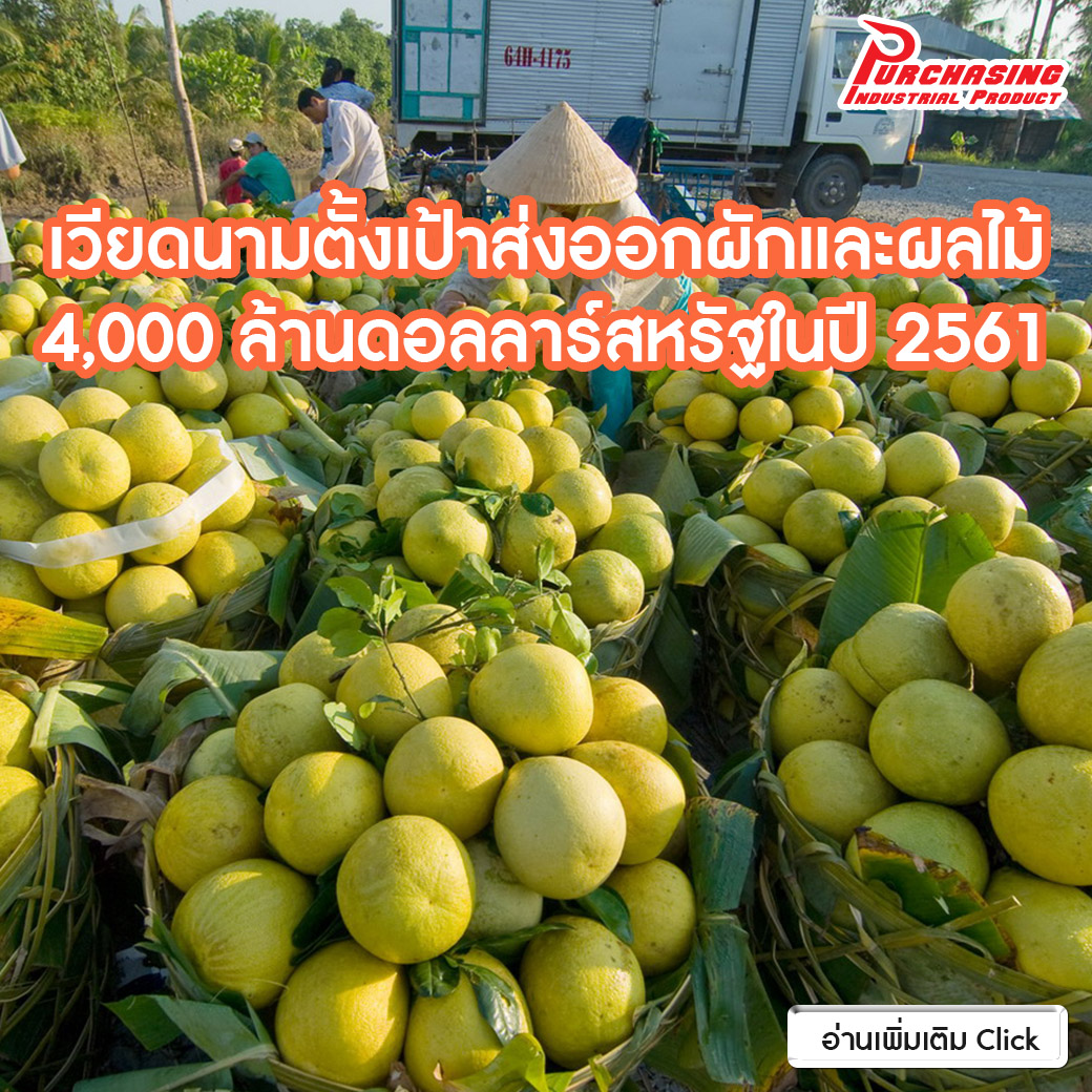 เวียดนามตั้งเป้าส่งออกผักและผลไม้ 4,000 ล้านดอลลาร์สหรัฐในปี 2561