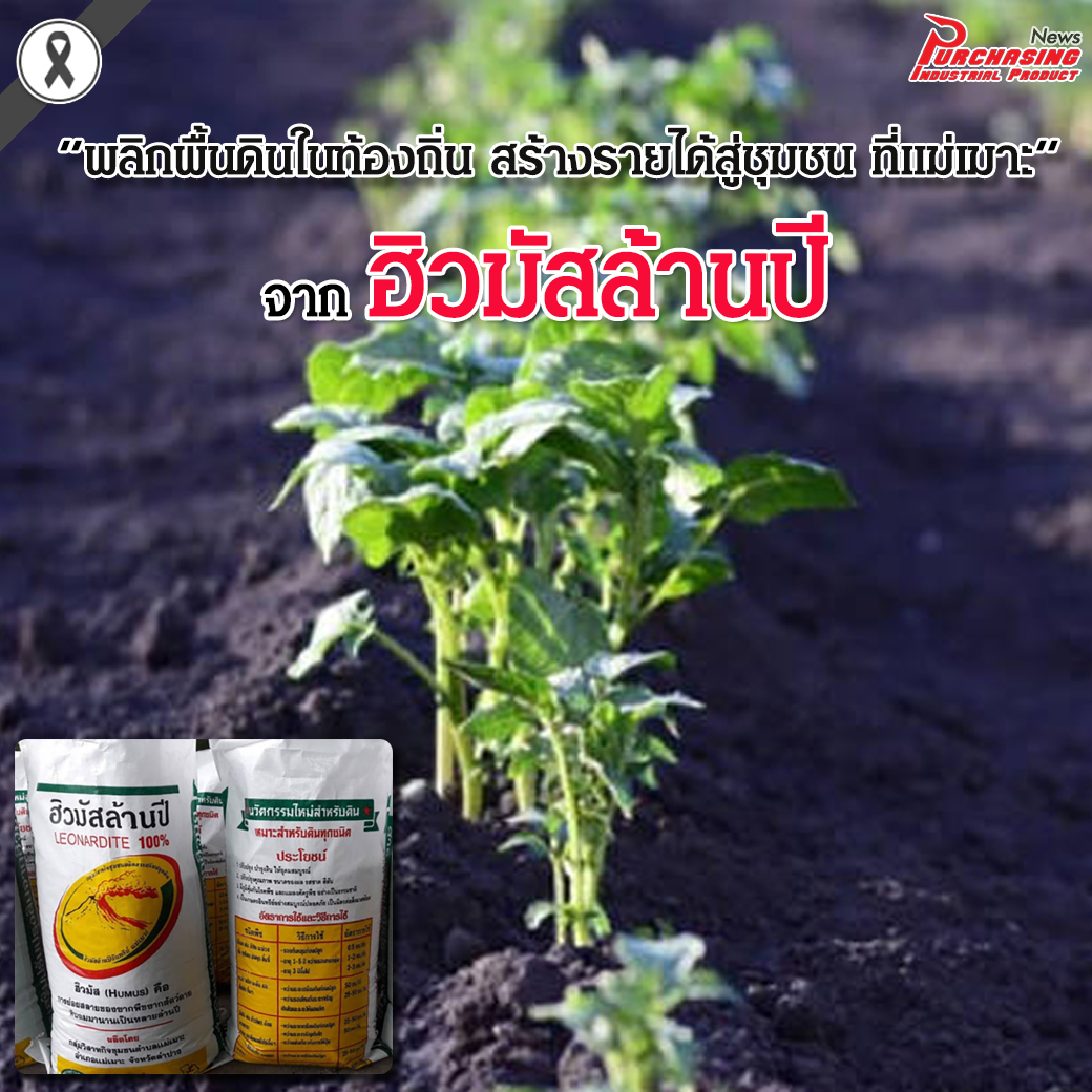 พลิกพื้นดินในท้องถิ่น สร้างรายได้สู่ชุมชน จากฮิวมัสล้านปี ที่แม่เมาะ