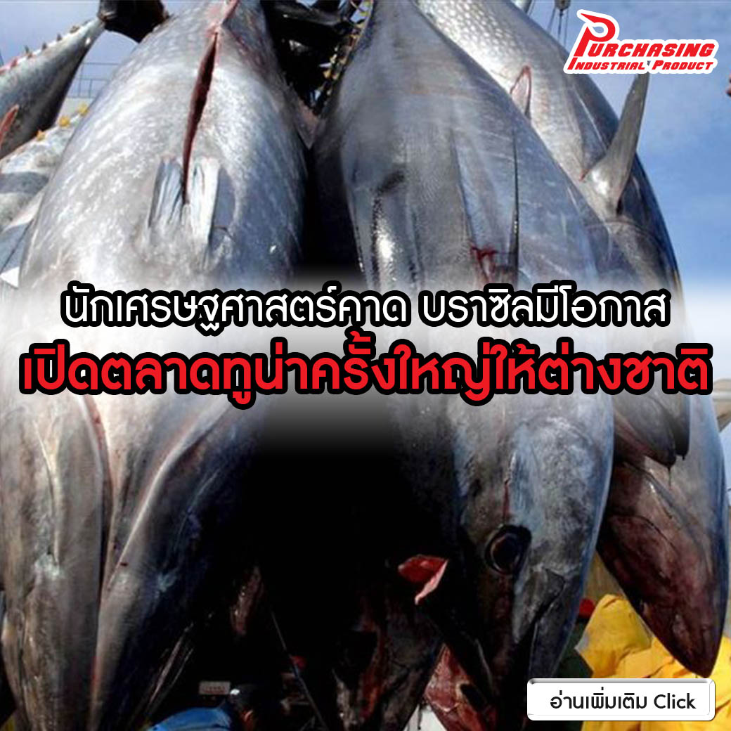 นักเศรษฐศาสตร์คาด บราซิลมีโอกาสเปิดตลาดทูน่าครั้งใหญ่ให้ต่างชาติ
