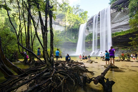 กุ้งเดินขบวน แก่งลำดวน จ.อุบล