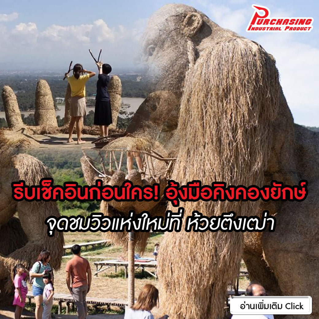 รีบเช็คอินก่อนใคร! อุ้งมือคิงคองยักษ์ จุดชมวิวแห่งใหม่ที่ ห้วยตึงเฒ่า