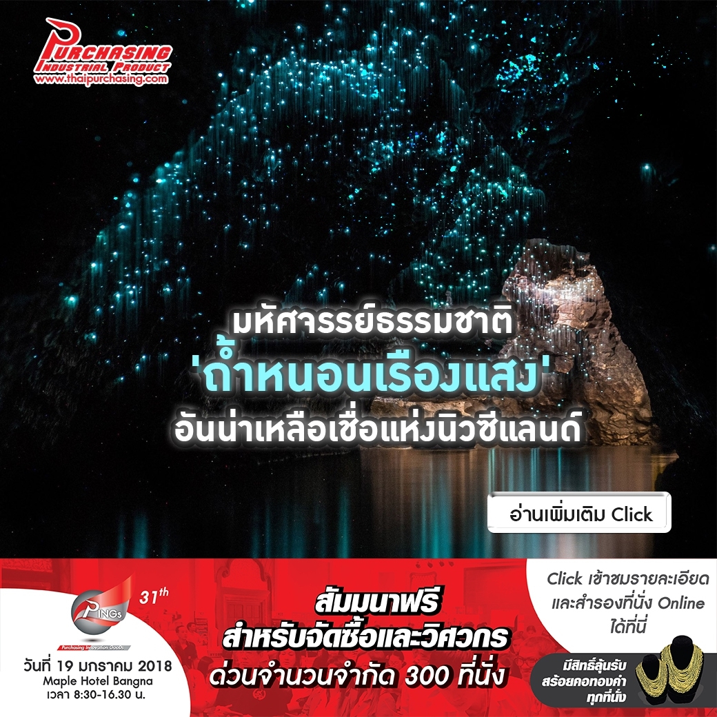 มหัศจรรย์ธรรมชาติ 'ถ้ำหนอนเรืองแสง' อันน่าเหลือเชื่อแห่งนิวซีแลนด์