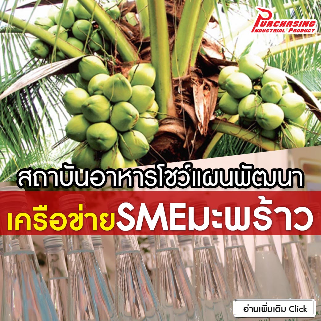 สถาบันอาหารโชว์แผนพัฒนาเครือข่ายSMEมะพร้าว กลุ่มทับสะแก เตรียมขึ้นทะเบียนจีไอคุ้มครองสิ่งบ่งชี้ทางภูมิศาสตร์
