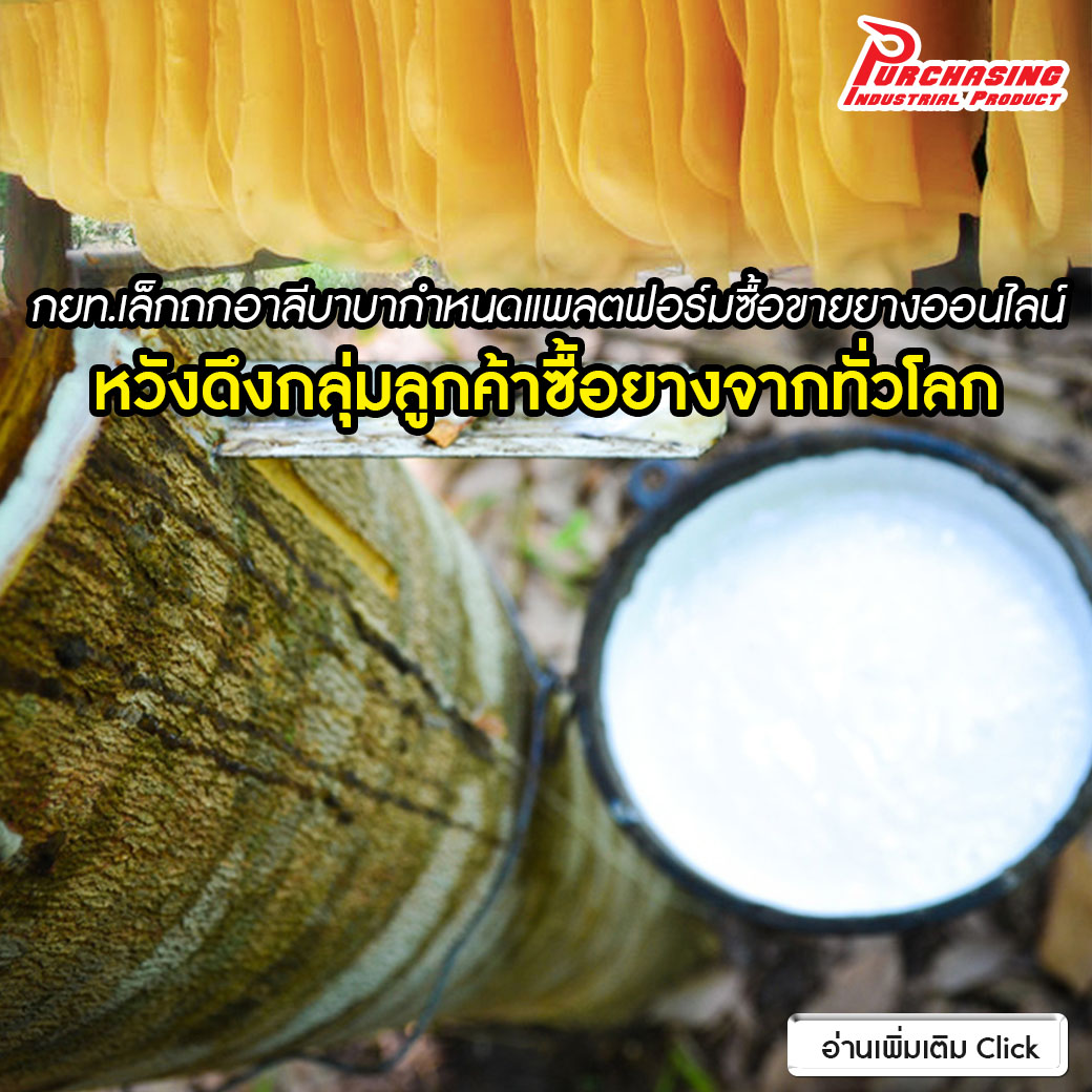 กยท.เล็กถกอาลีบาบากำหนดแพลตฟอร์มซื้อขายยางระบบออนไลน์ร่วมกัน หวังดึงกลุ่มลูกค้าซื้อยางจากทั่วโลก