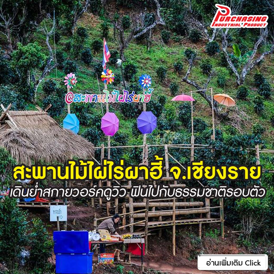 สะพานไม้ไผ่ไร่ผาฮี้ จ.เชียงราย เดินย่ำสกายวอร์คดูวิว ฟินไปกับธรรมชาติรอบตัว