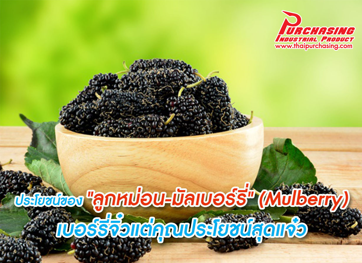 ประโยชน์ของ 