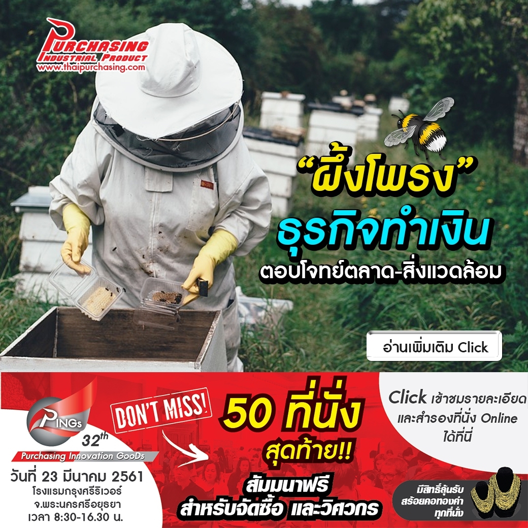 “ผึ้งโพรง” ธุรกิจทำเงิน ตอบโจทย์ตลาด-สิ่งแวดล้อม