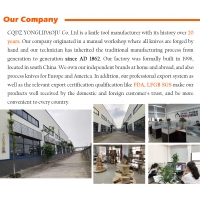 CQDZ YONGLIDAOJU Co., Ltd. บจก.