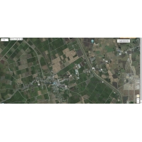 บางกอก พัทยา เรียลเอสเตท บจก.