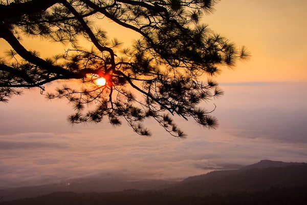 อุทยานแห่งชาติภูกระดึง จังหวัดเลย