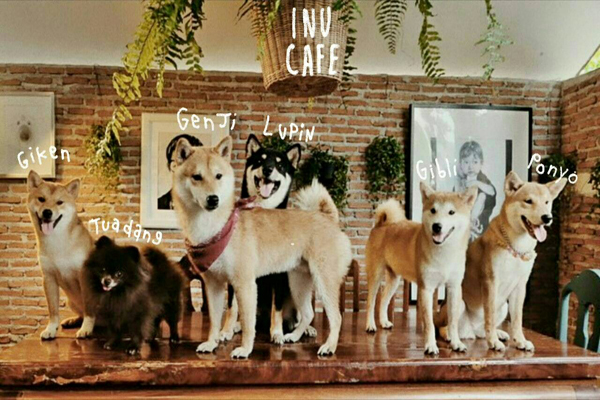 อินุ คาเฟ่ - แนบเคหาสน์ซอย 8