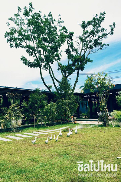 ณีมทรีส์