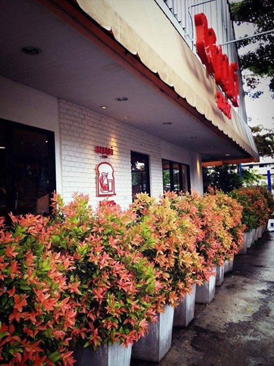 มนต์นมสด