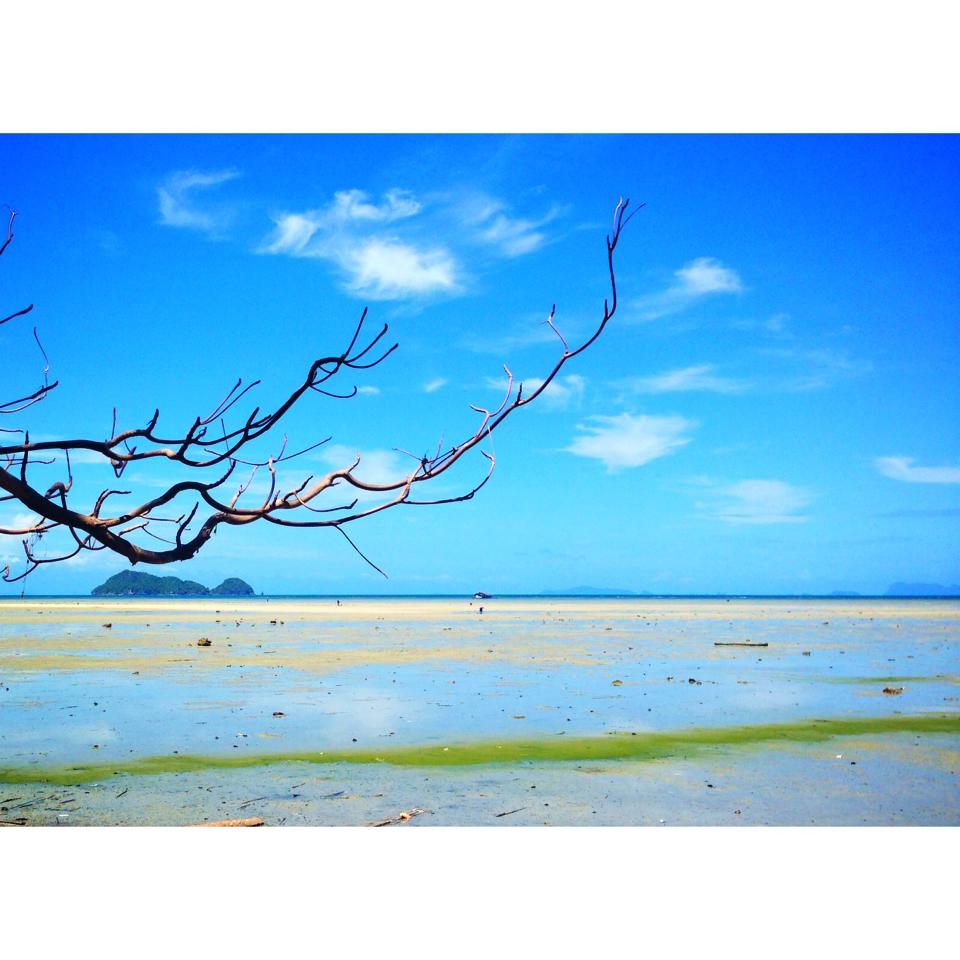 หาดยาว เกาะพะงัน สุราษฏร์ธานี