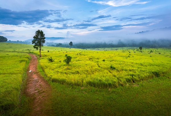 เขาใหญ่ จังหวัดนครราชสีมา