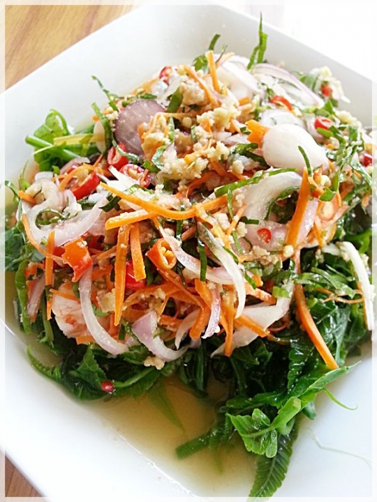 ครัวม่อนไข่ สวนผึ้ง