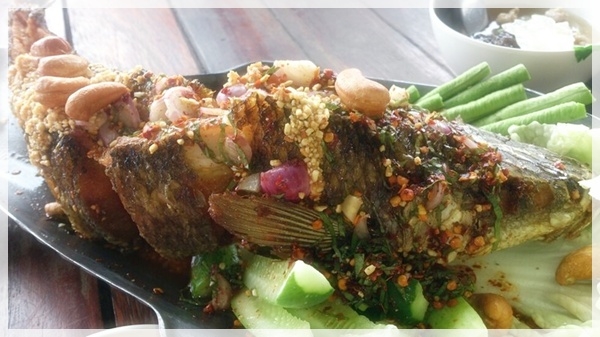 อิ่มเพลิน สวนผึ้ง