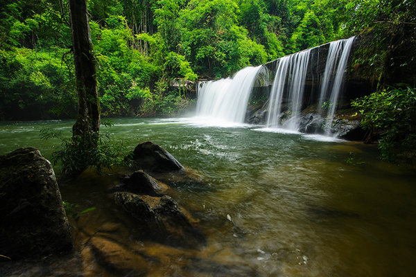“กุ้งเดินขบวน“  @ แก่งลำดวน จ.อุบล