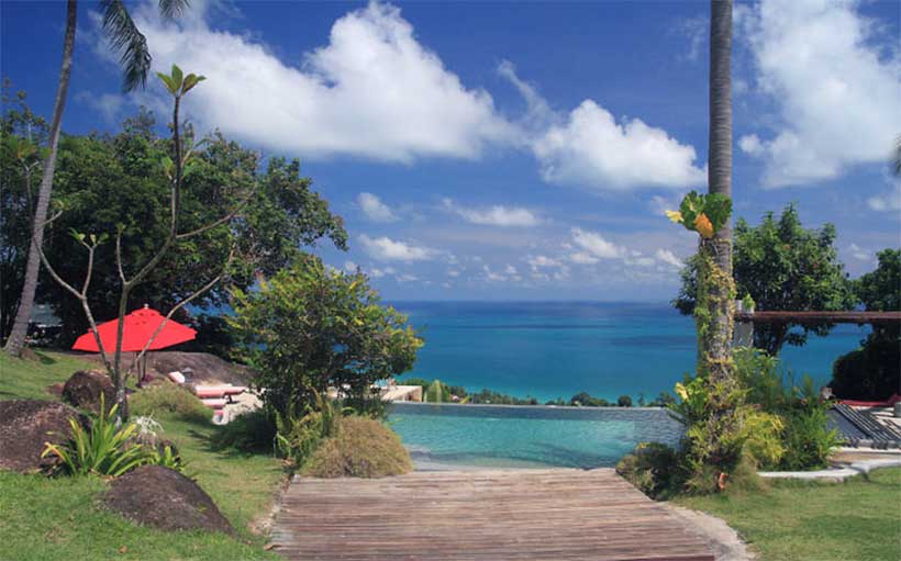 The Jungle ClubThe Jungle club