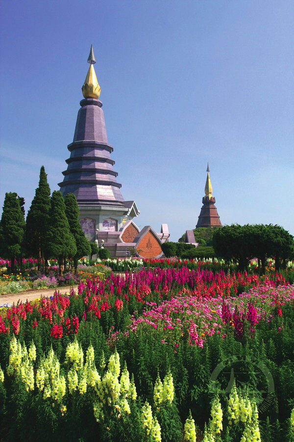 เยือนลมหนาว “ดอยอินทนนท์“ ดอยที่มีอากาศเย็นตลอดทั้งปี